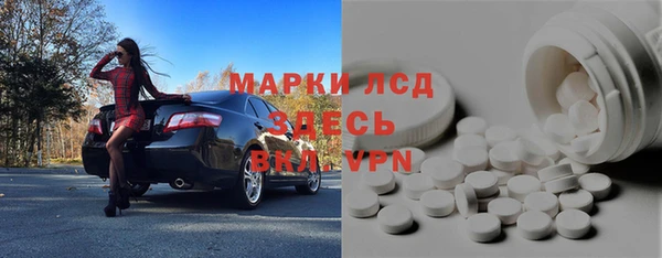 прущие грибы Арсеньев
