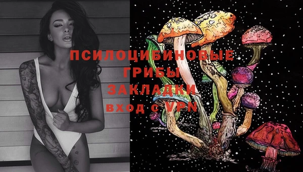 прущие грибы Арсеньев