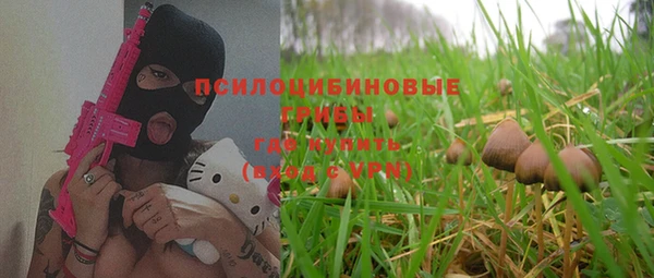 прущие грибы Арсеньев