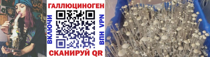 Псилоцибиновые грибы MAGIC MUSHROOMS  Бронницы 